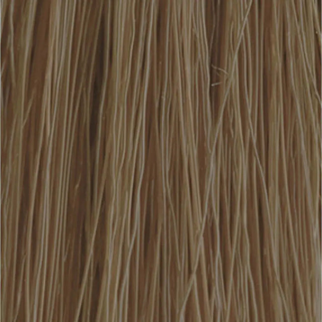 Insight - Incolor MAN - Hydra-Color Cream 40 ml - Coloration bei hairOne