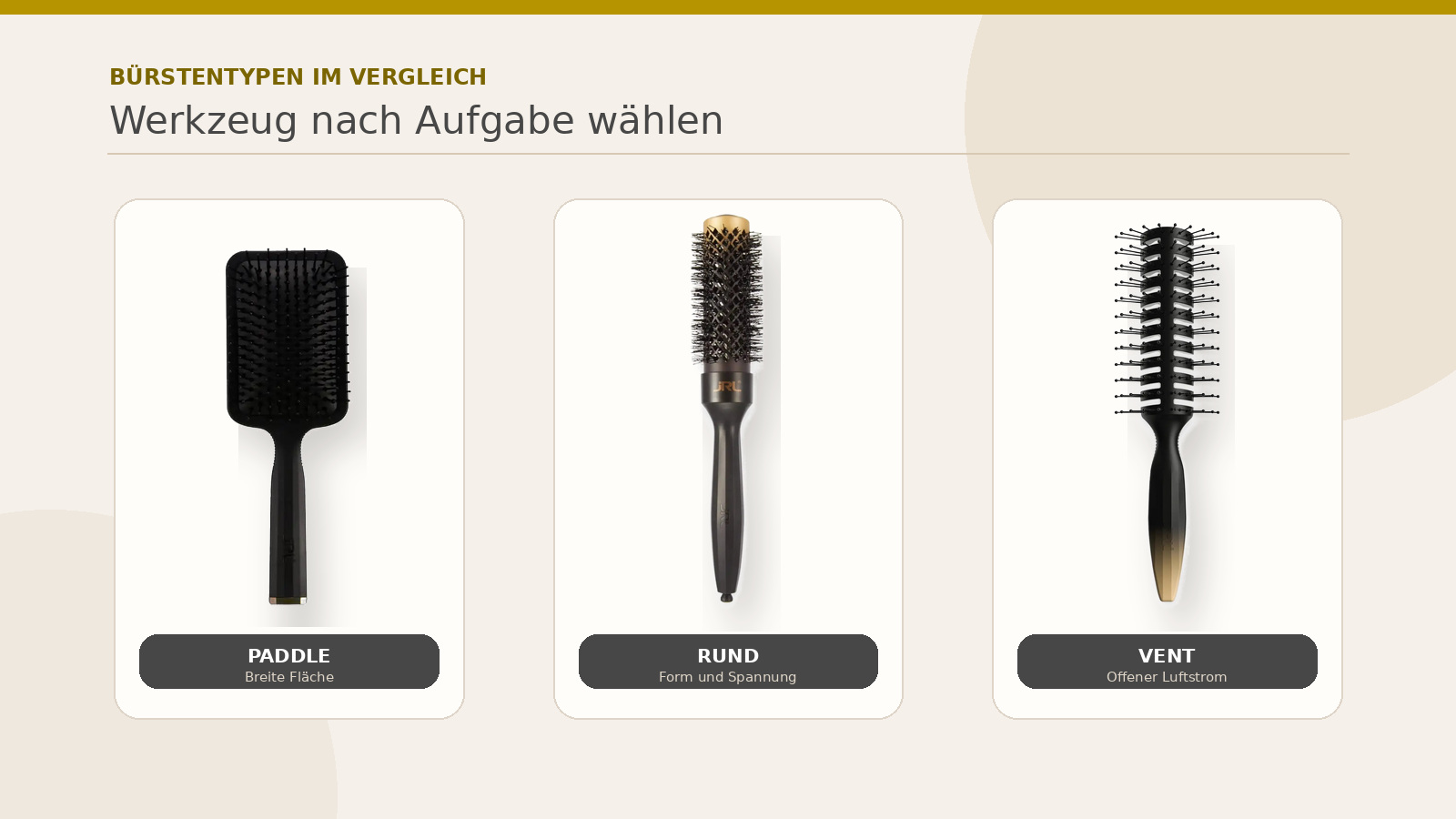 Paddle-, Rund- und Ventbürste aus dem aktuellen hairOne Sortiment im Vergleich.